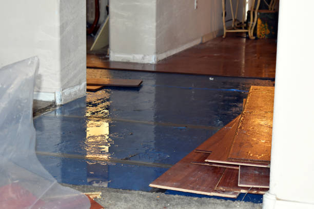 Professional Basement Flood Cleanup technician working in Winnetka, IL